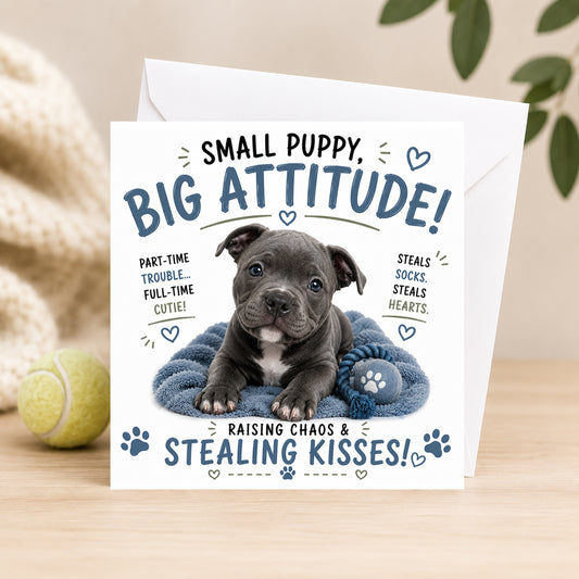 Big Attitude
