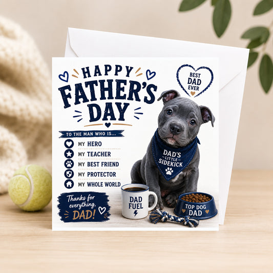 Blue Staffy Sidekick  Puppy