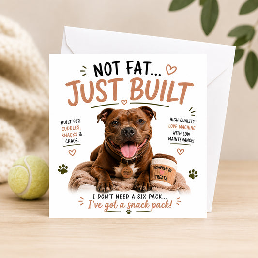 Staffy Not Fat