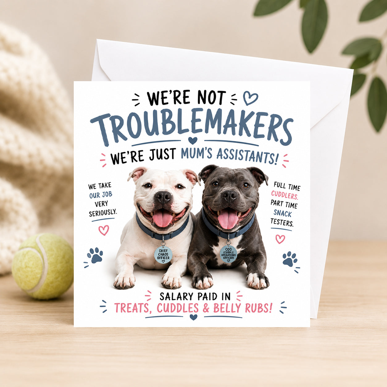Troublemakers