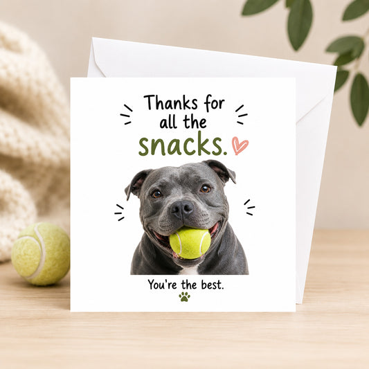Staffy Snacks