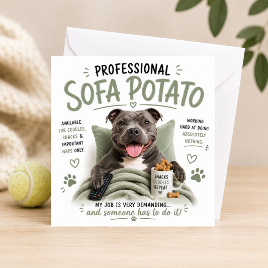 Professional Sofa Potato