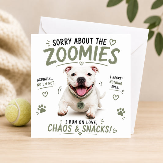 Zoomies