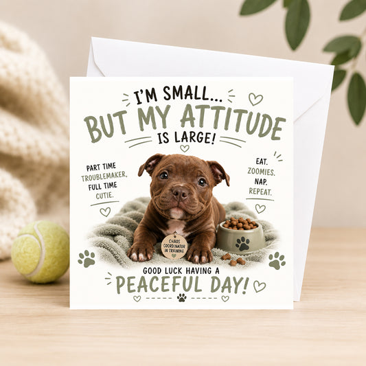 Im Small With Big Attitude