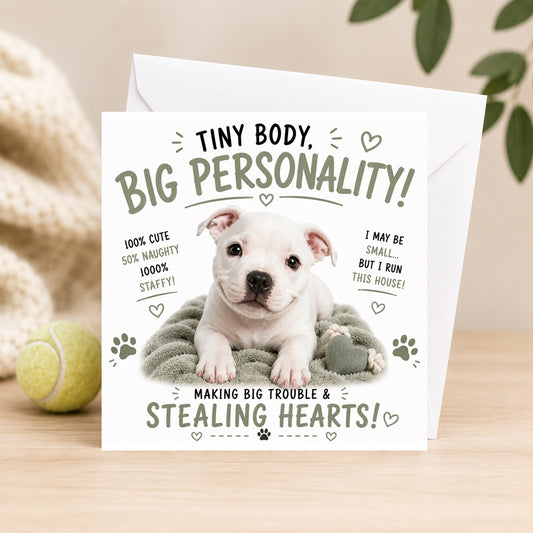 Big Personality